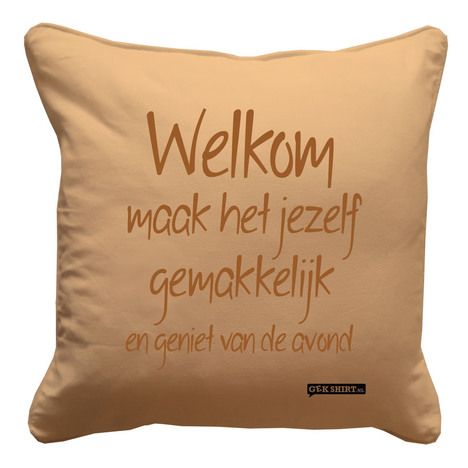 Welkom maak het jezelf gemakkelijk en geniet van de avond. Een leuk kussentje